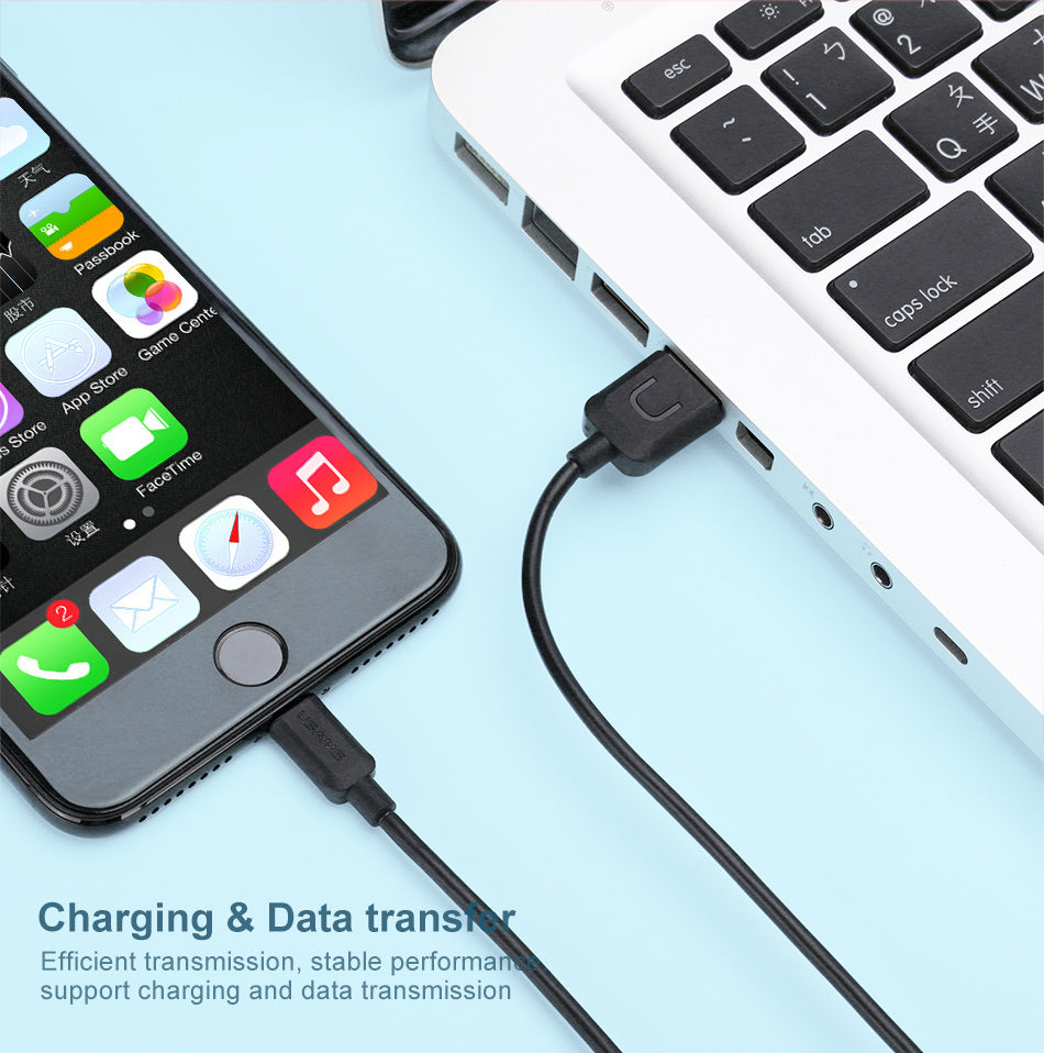 1M USB Charging Cable for iPhone X 8 7 6 5 SE Lightning